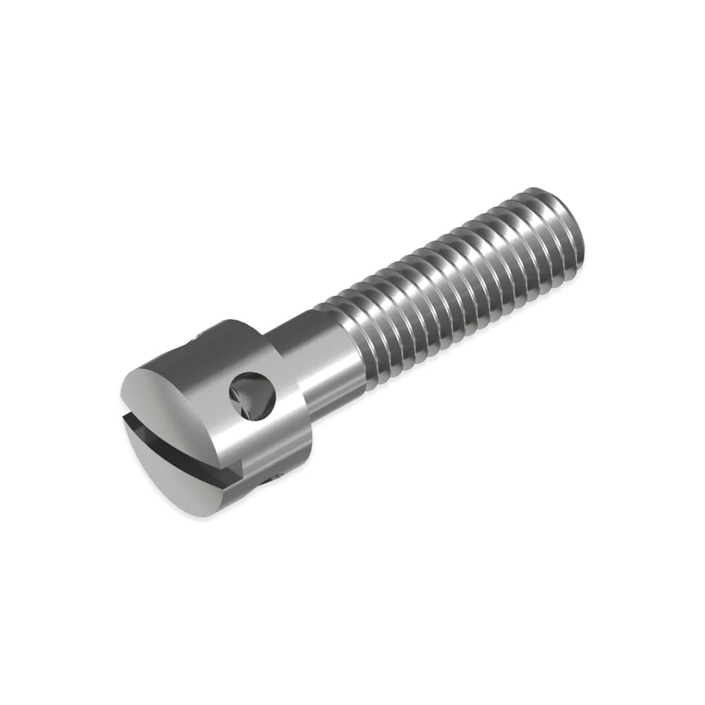 Slotted Capstan Screw manufactured by SRG Fasteners - Industrial Grade SS 202, SS 304, SS 316